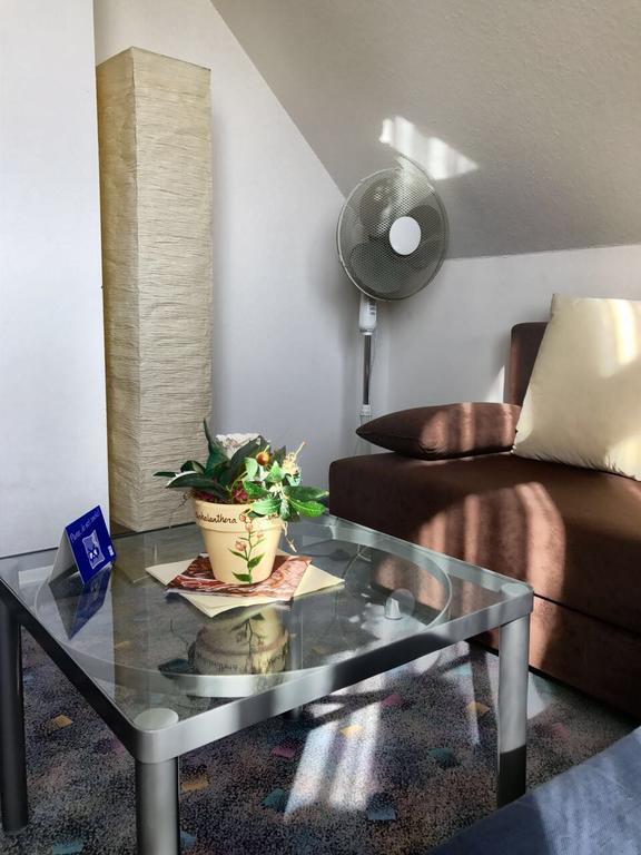 Hotel Seebach Grossenseebach ภายนอก รูปภาพ